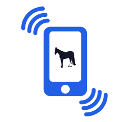 無料情報